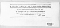 Image of Helminthosporium ocoteae